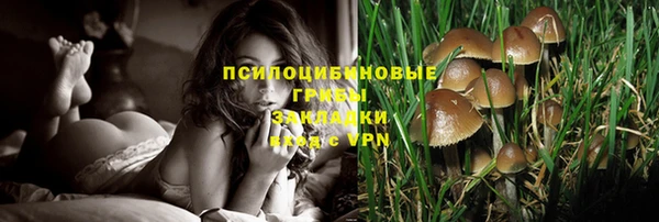 наркотики Алексин