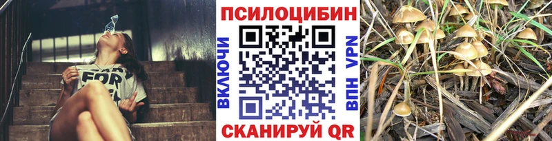 Галлюциногенные грибы мицелий где продают Махачкала